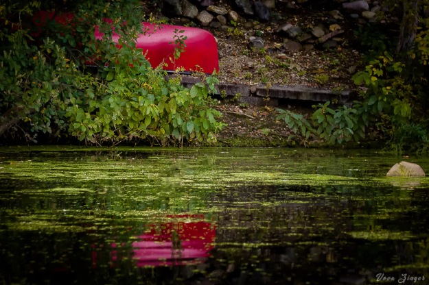 Red canoe